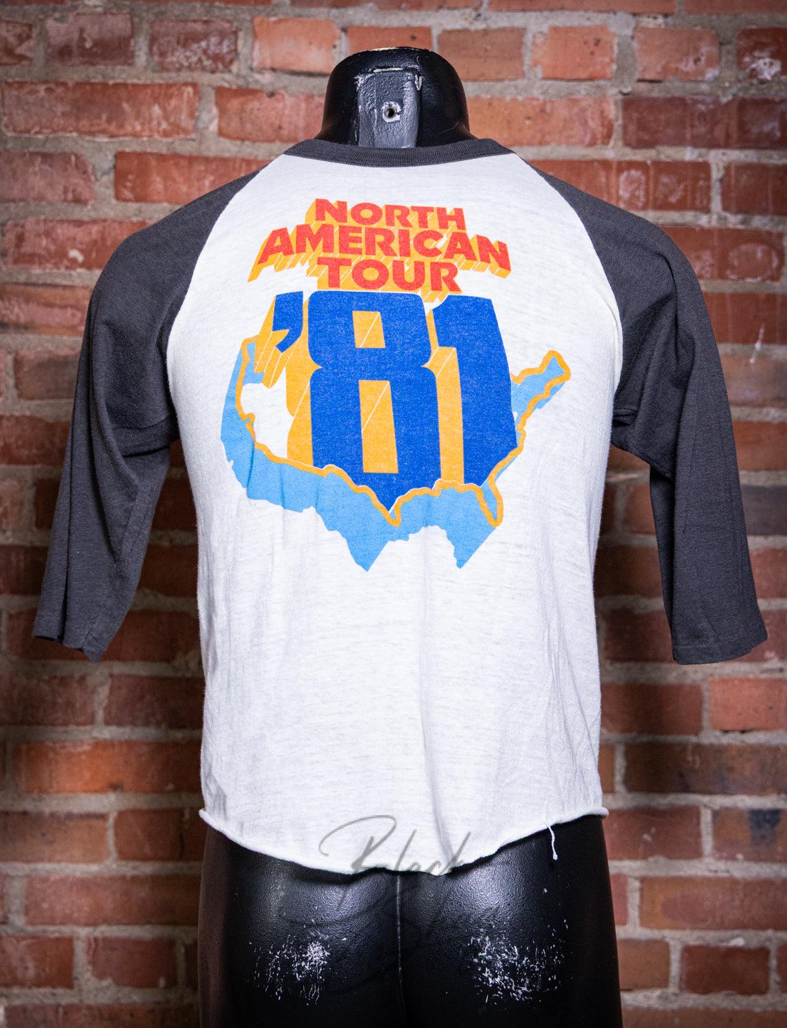 Vintage 1981 Bob Dylan North American Tour Raglan Concert T Shirt Small