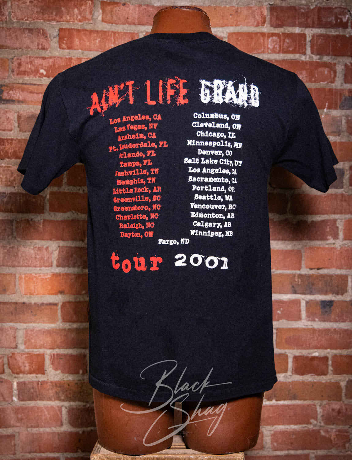 Vintage 2001 Slash's Snakepit Ain't Life Grand Concert T Shirt Medium