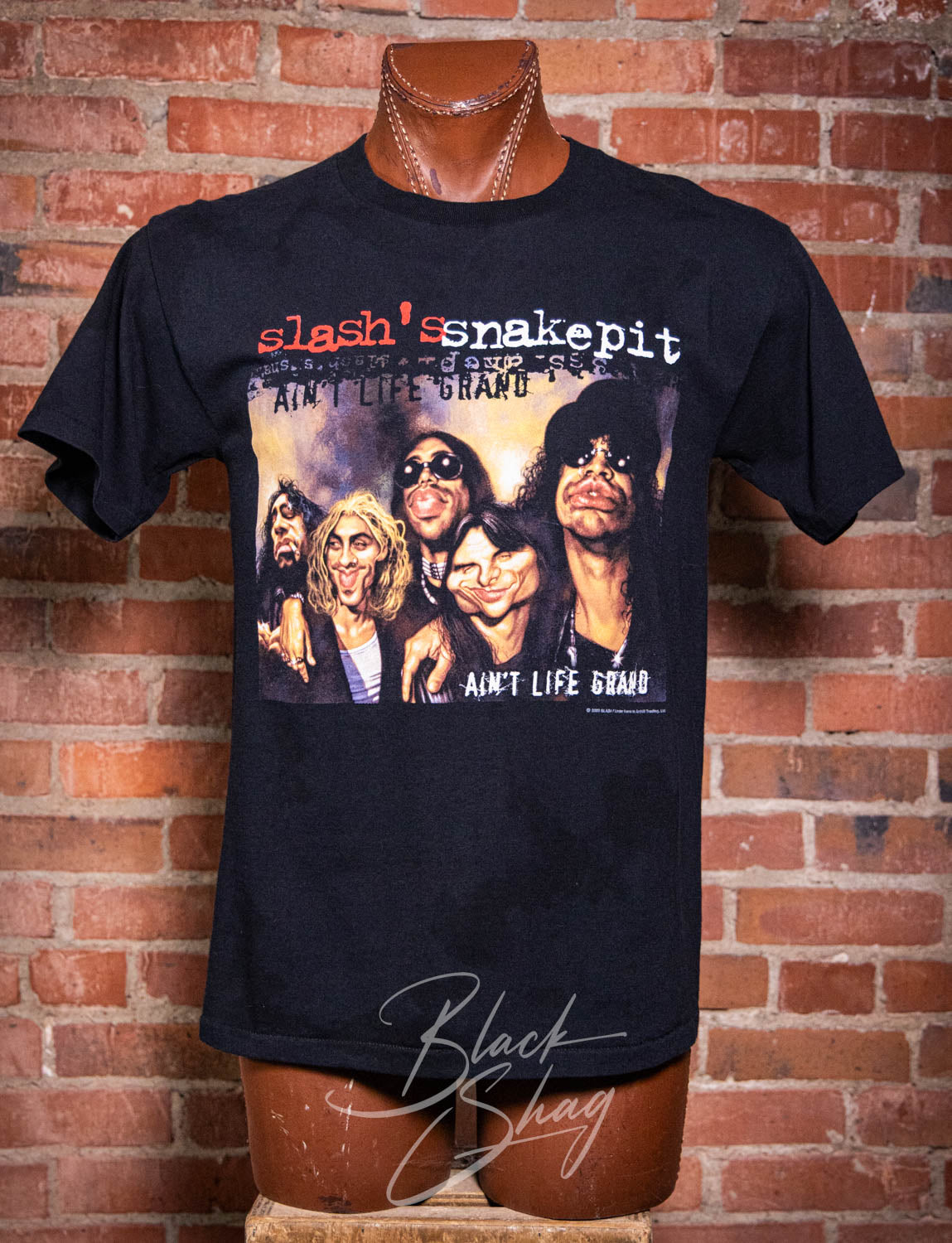 Vintage 2001 Slash's Snakepit Ain't Life Grand Concert T Shirt Medium