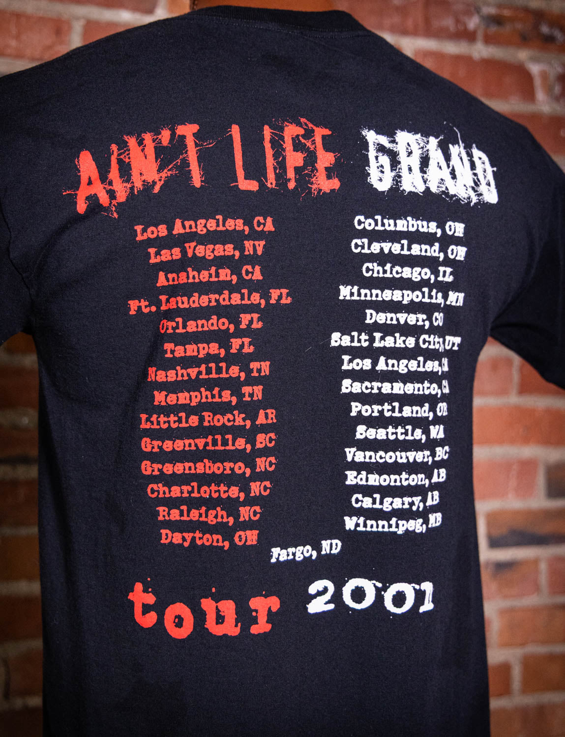 Vintage 2001 Slash's Snakepit Ain't Life Grand Concert T Shirt Medium