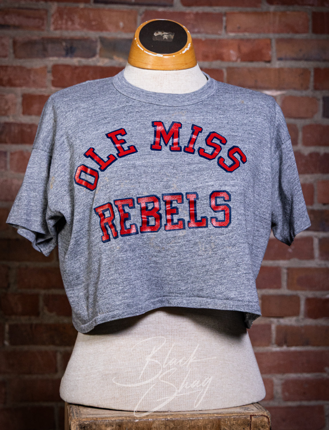 Vintage 80s Ole Miss Rebels Cropped Graphic T Shirt Large