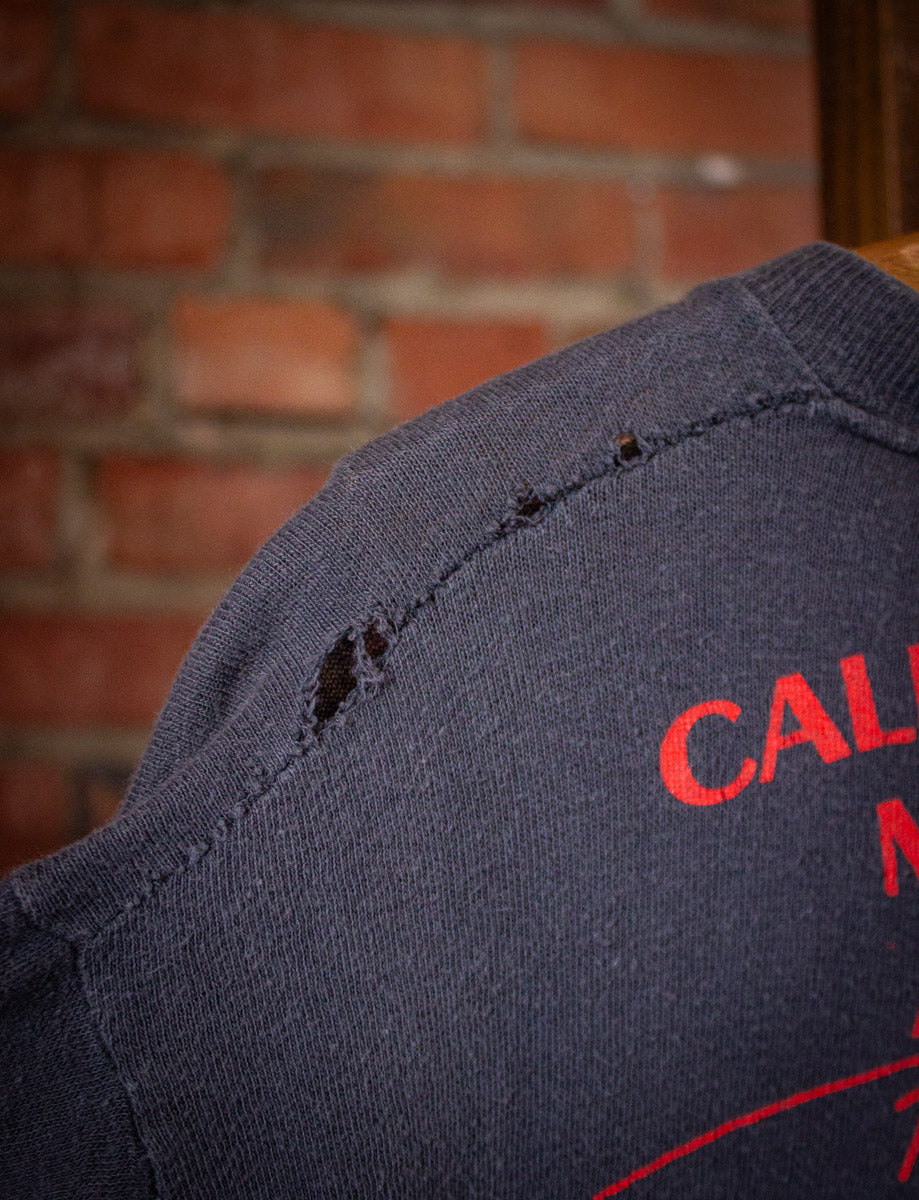 Vintage California World Music Festival Concert T Shirt 1978 Medium