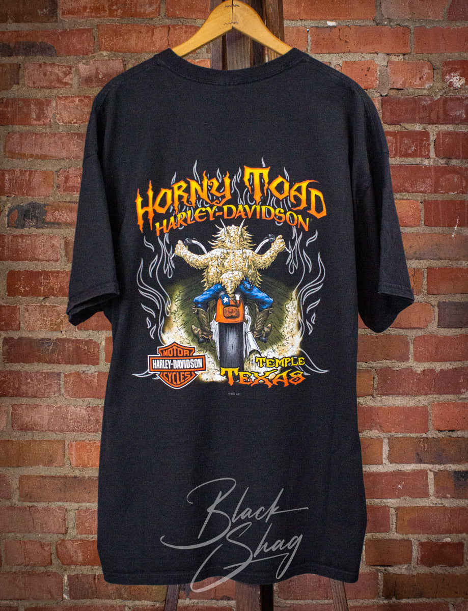 Vintage Harley Davidson Horny Toad Graphic T Shirt 2000s 2XL