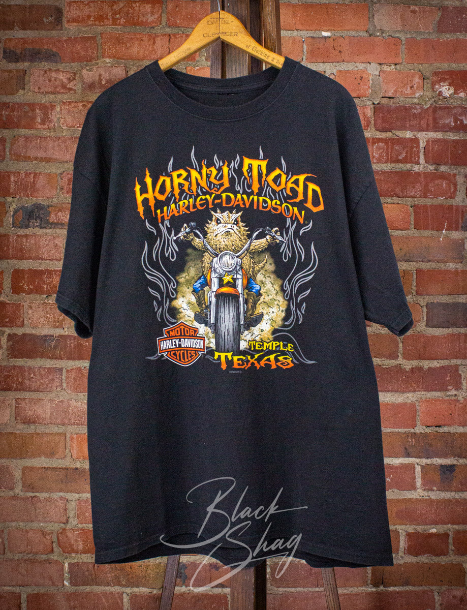 Vintage Harley Davidson Horny Toad Graphic T Shirt 2000s 2XL