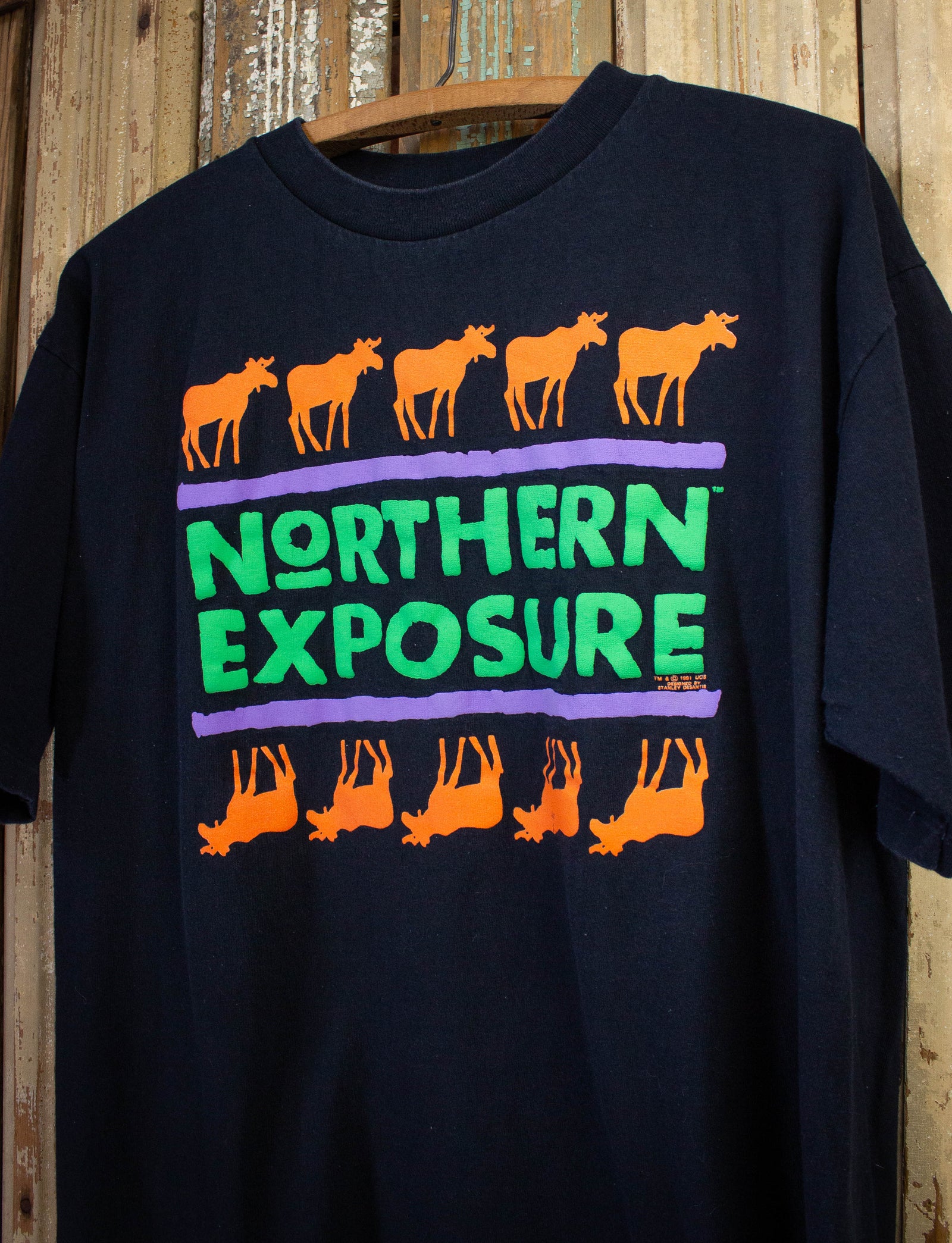 Vintage Northern Exposure Graphic T-Shirt 1991 L