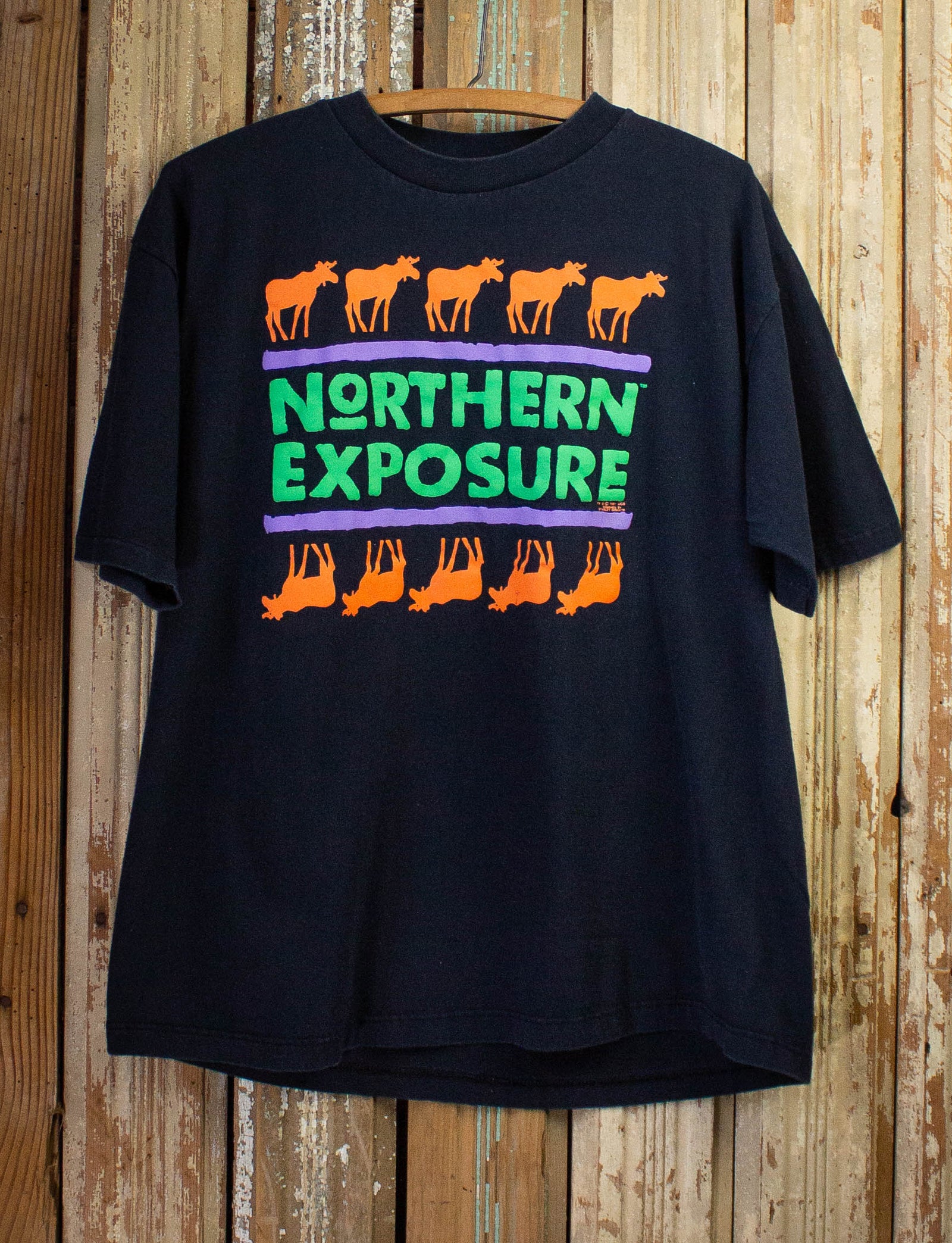 Vintage Northern Exposure Graphic T-Shirt 1991 L