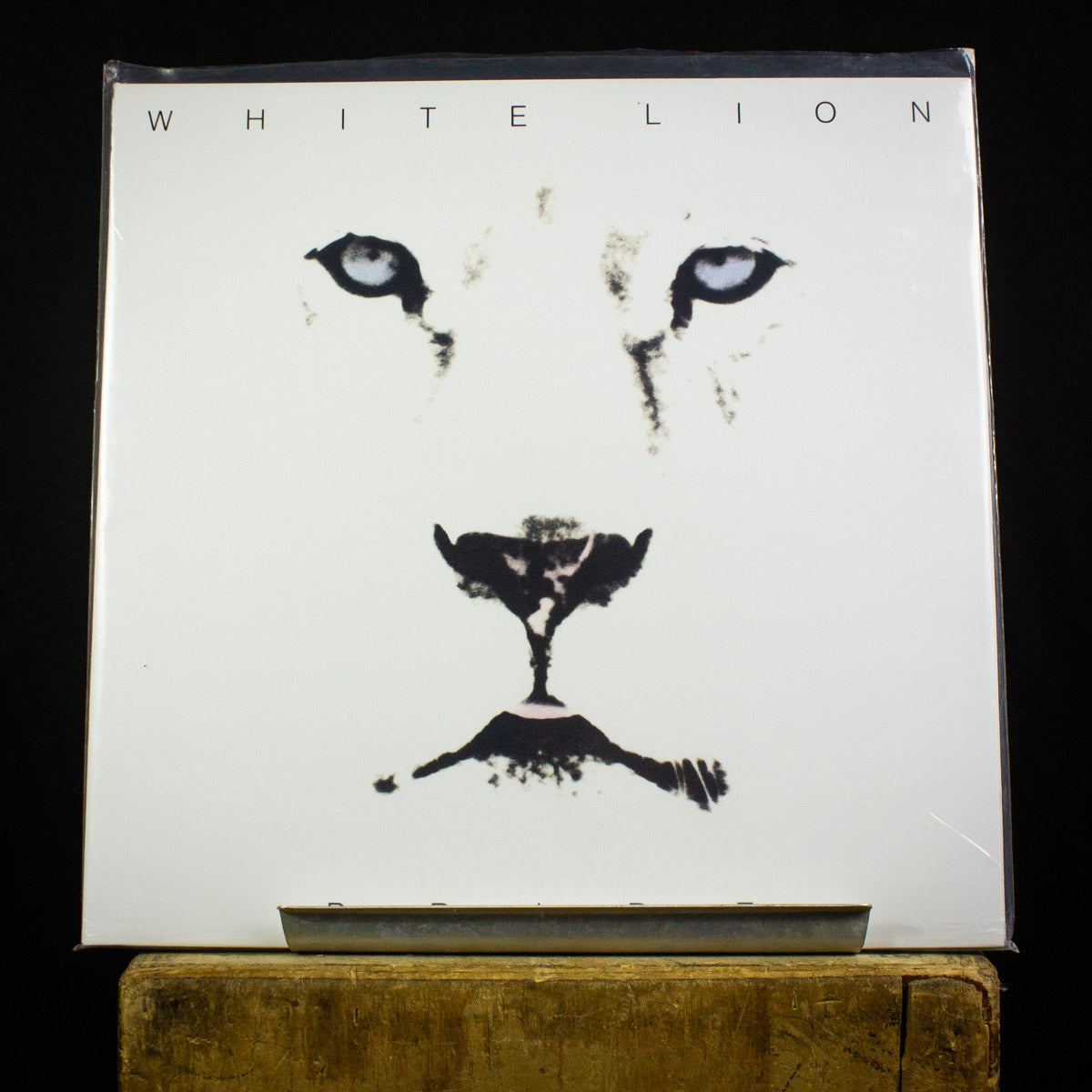 White Lion Pride LP – Black Shag Vintage