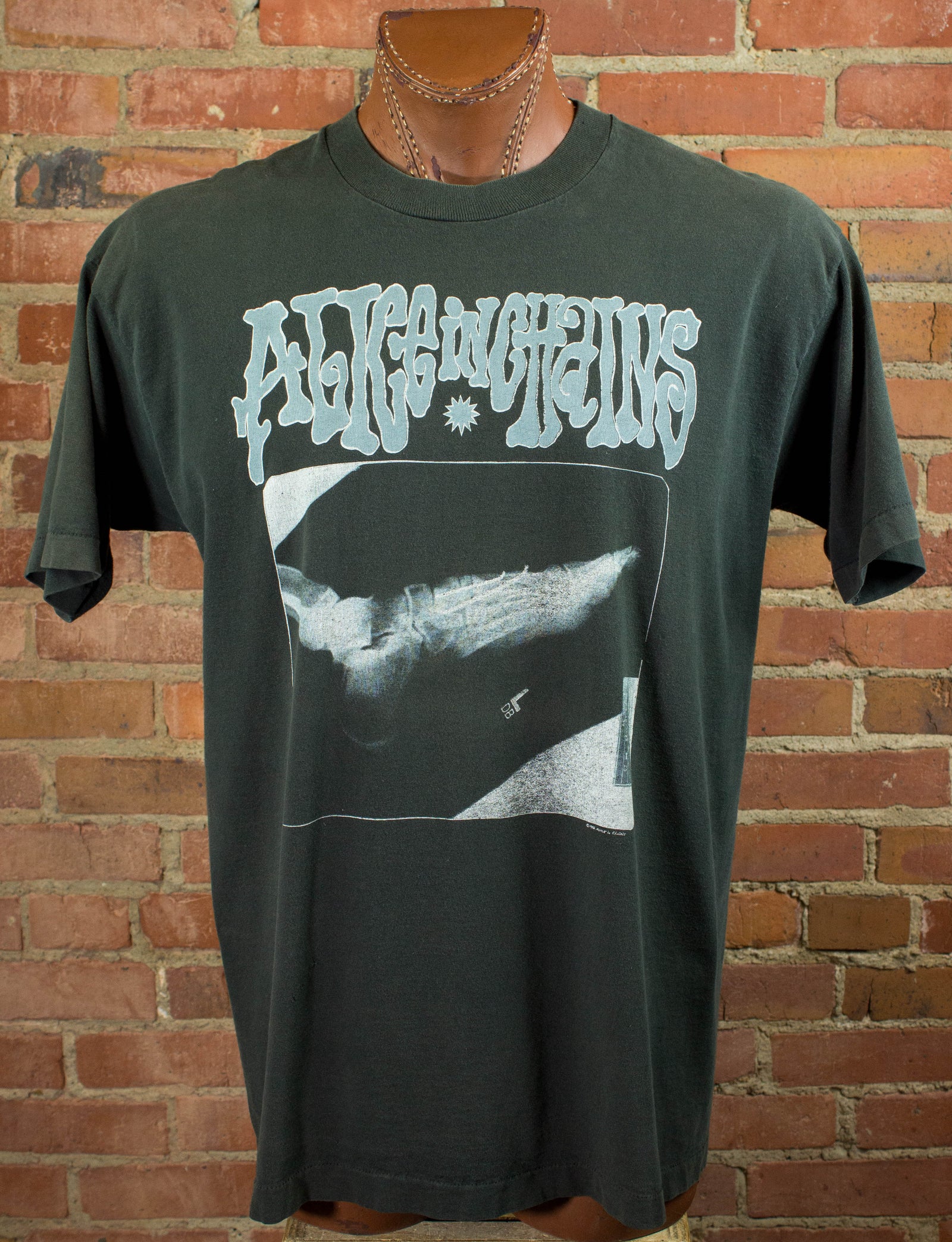 1992 Alice in chains ‘X-ray’ Tシャツ　ヴィンテージ