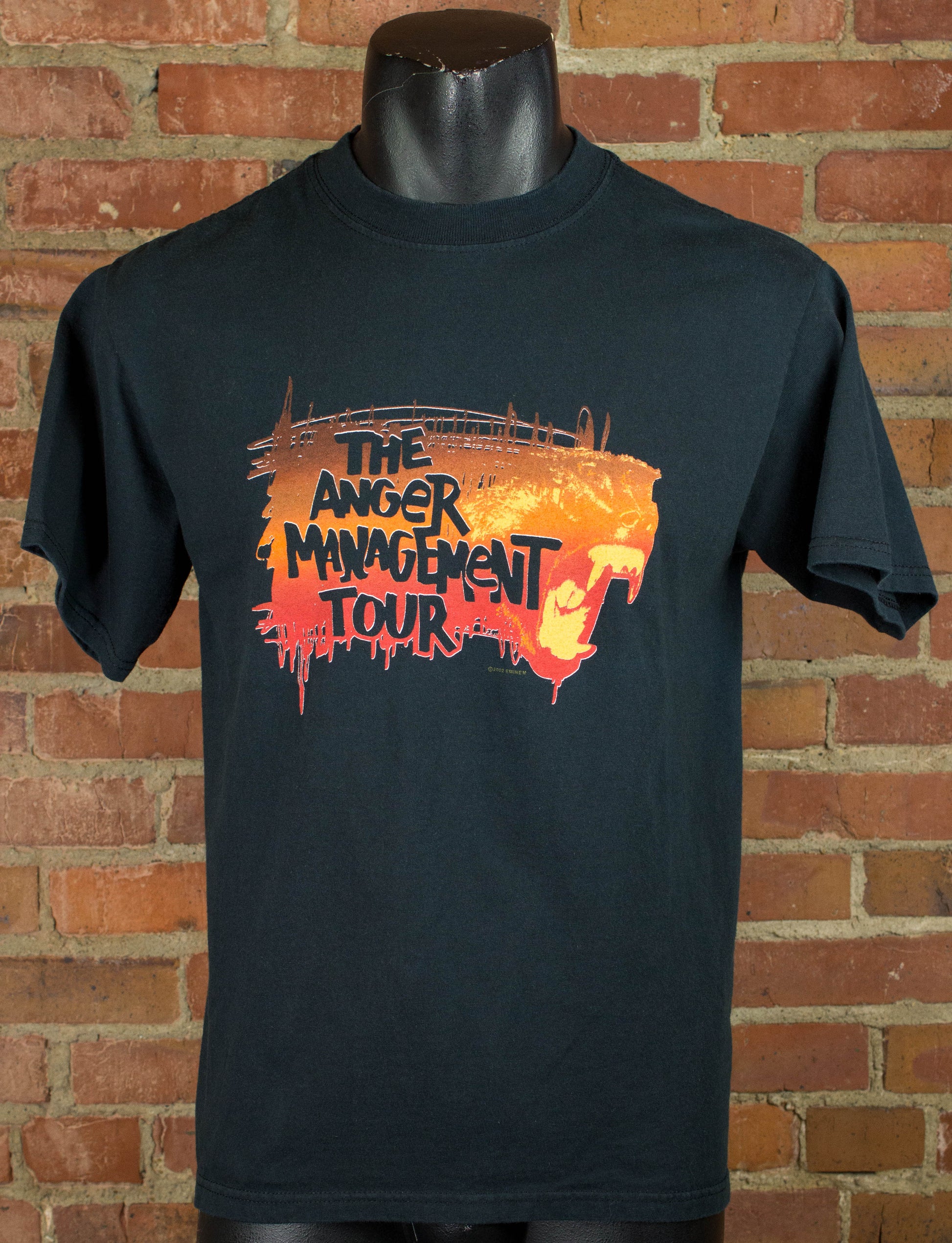 Vintage Eminem 2002 The Anger Management Tour Rap Tee Concert T Shirt Medium