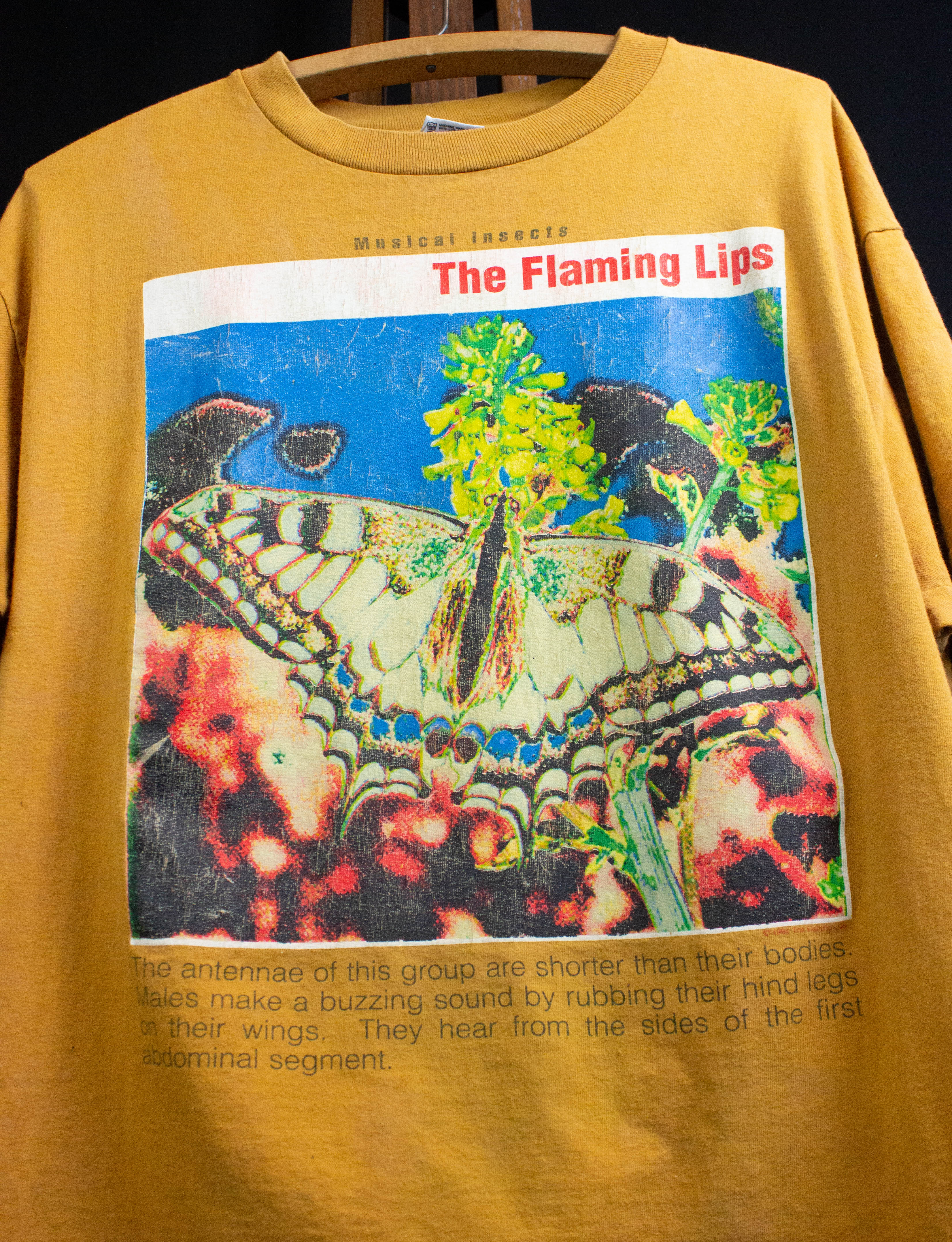 THE FLAIMING LIPS MUSICUL INSECTS VTG TアニメTシャツ