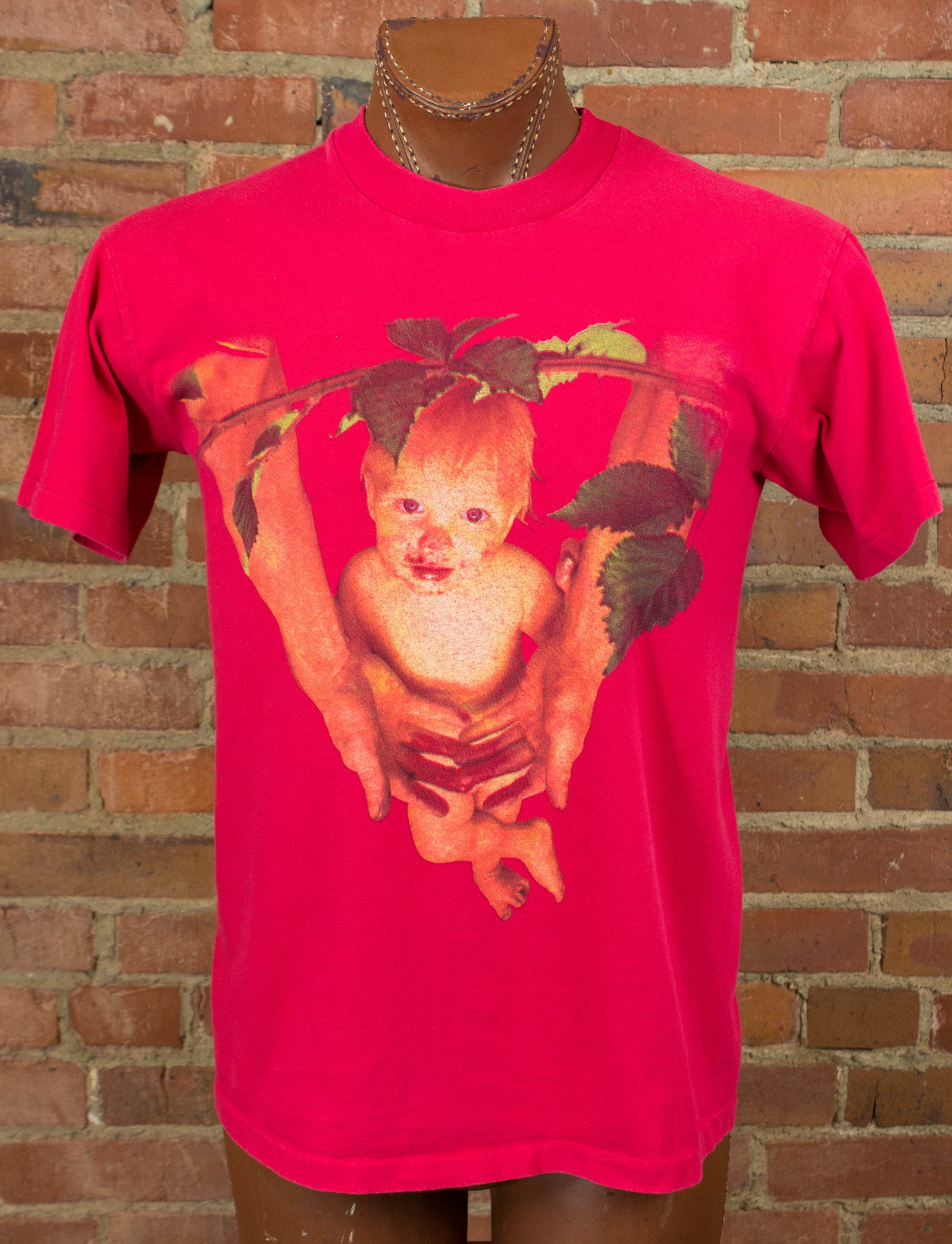 Vintage Goo Goo Dolls Concert T Shirt 1995 A Boy Named Goo Tour Red Large