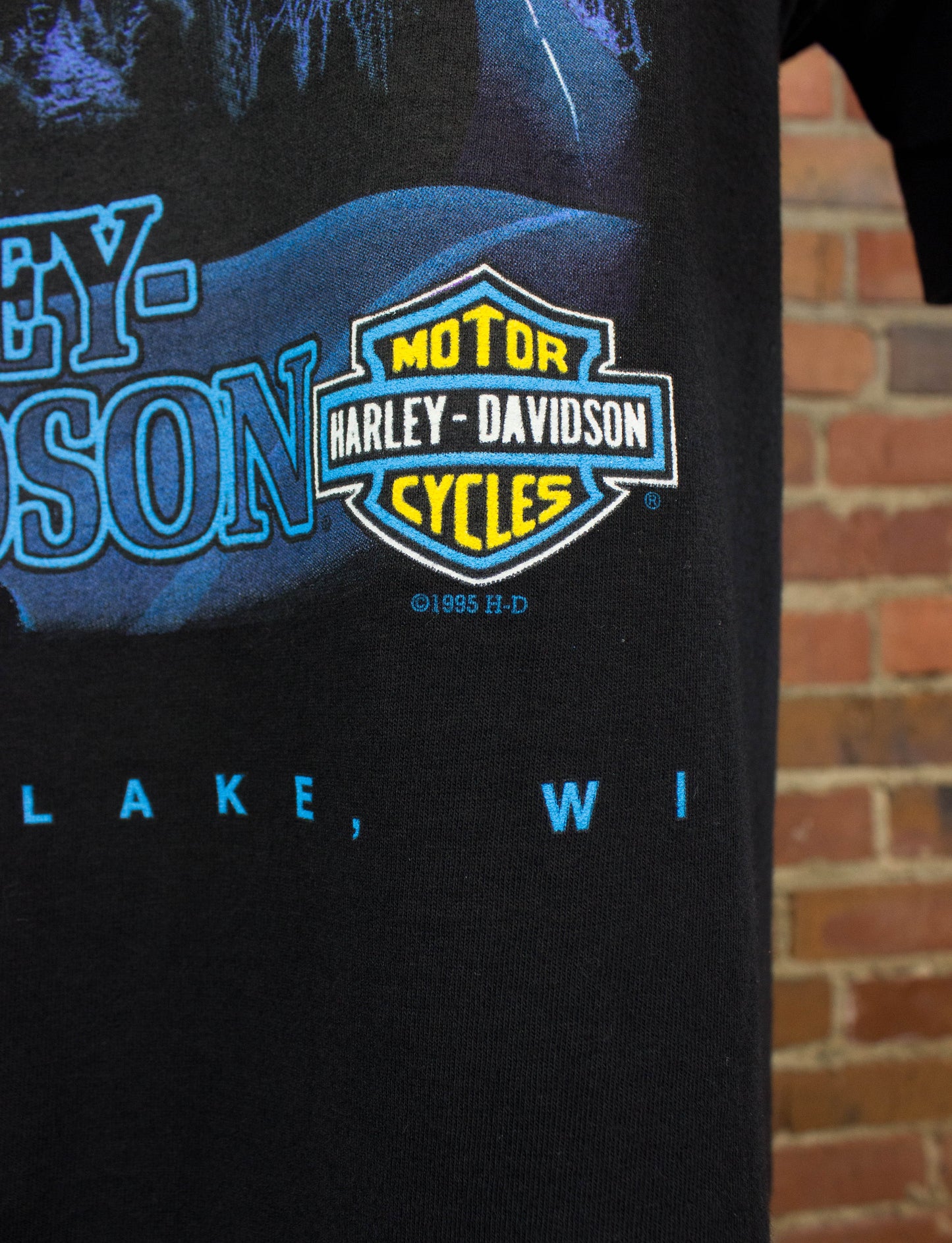 Vintage Harley Davidson Flame Logo Graphic T Shirt 1995 Rice Lake, Wisconsin Black Large