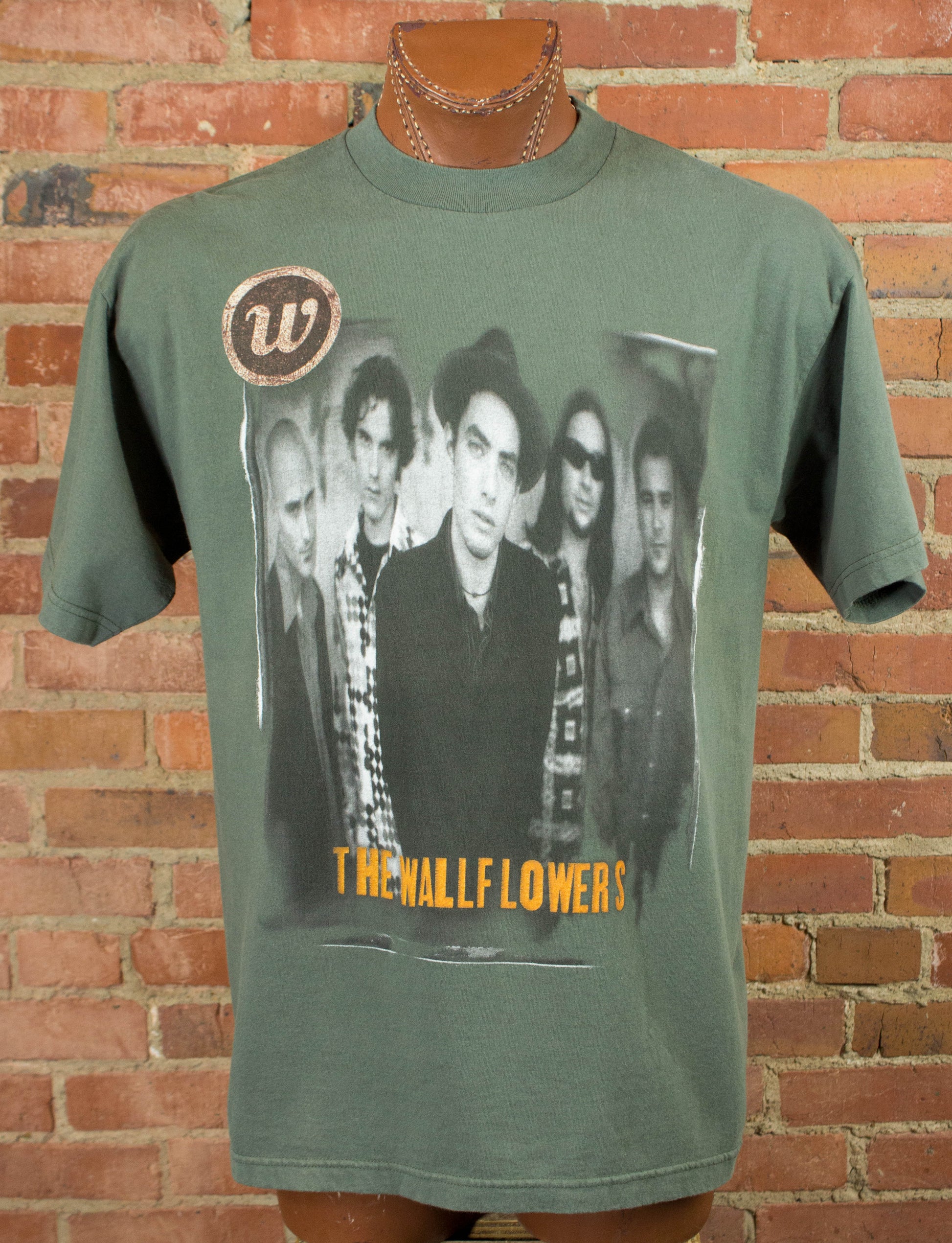 Vintage The Wallflowers Concert T Shirt 1996 Bringing Down The Horse Green XL